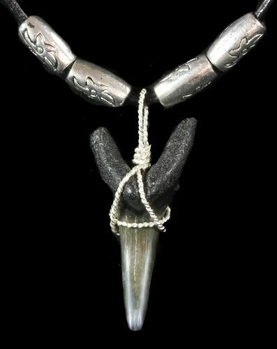 Fossil Sand Tiger Shark Tooth Necklace #47590